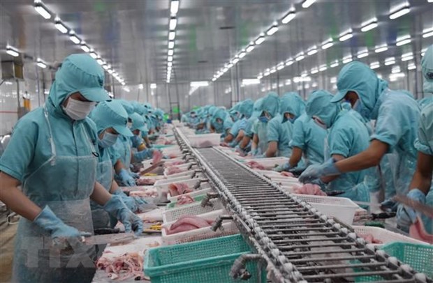 Le Vietnam cherche des opportunités de coopération et d investissement en Afrique